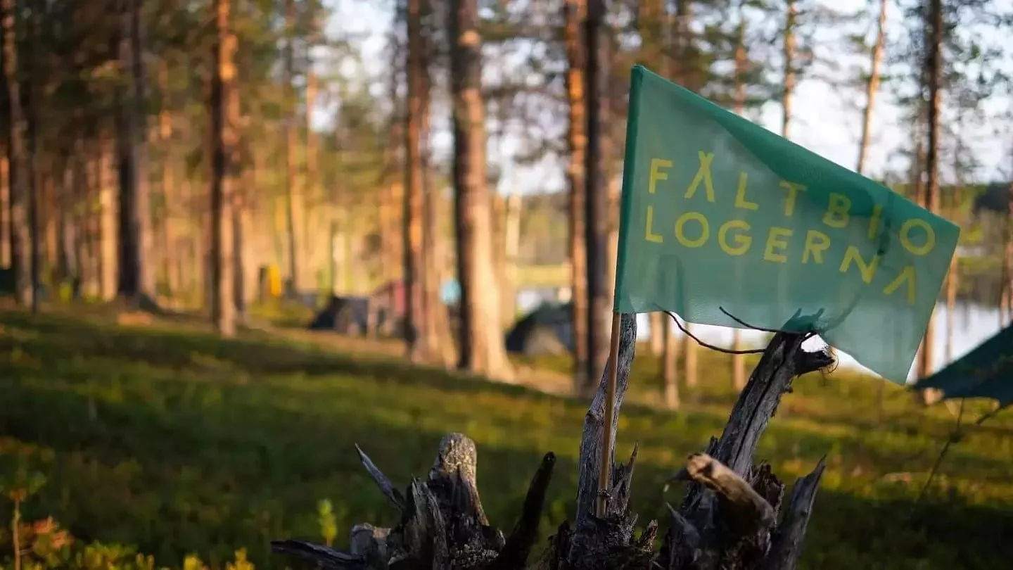 Fältbiologernas grön-gula flagga i en skog