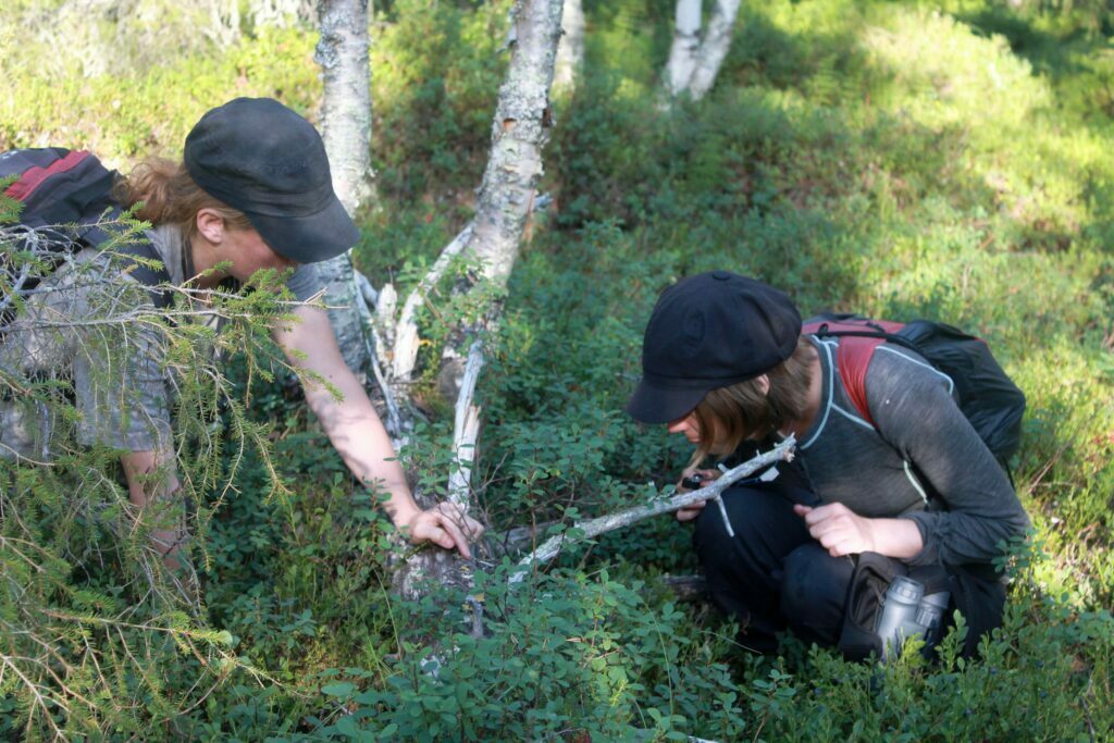 Två fältbiologer kollar in död ved i en skog