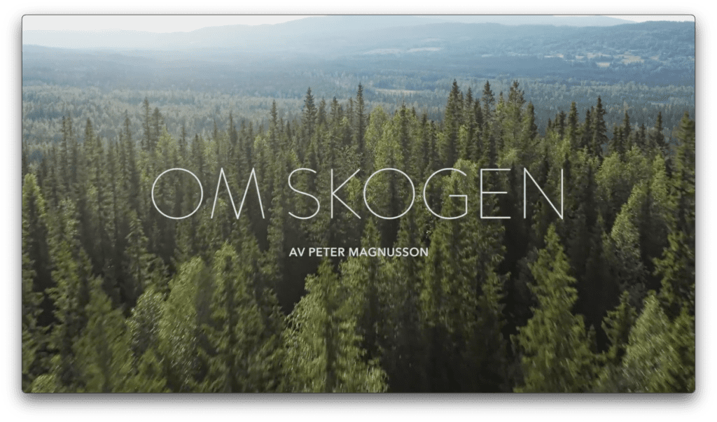Skärmdump Teaser Om skogen kampanj