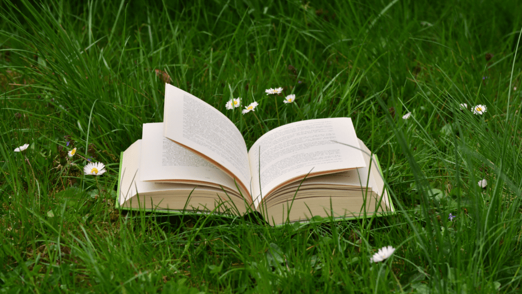 En uppfälld bok som ligger på gräset