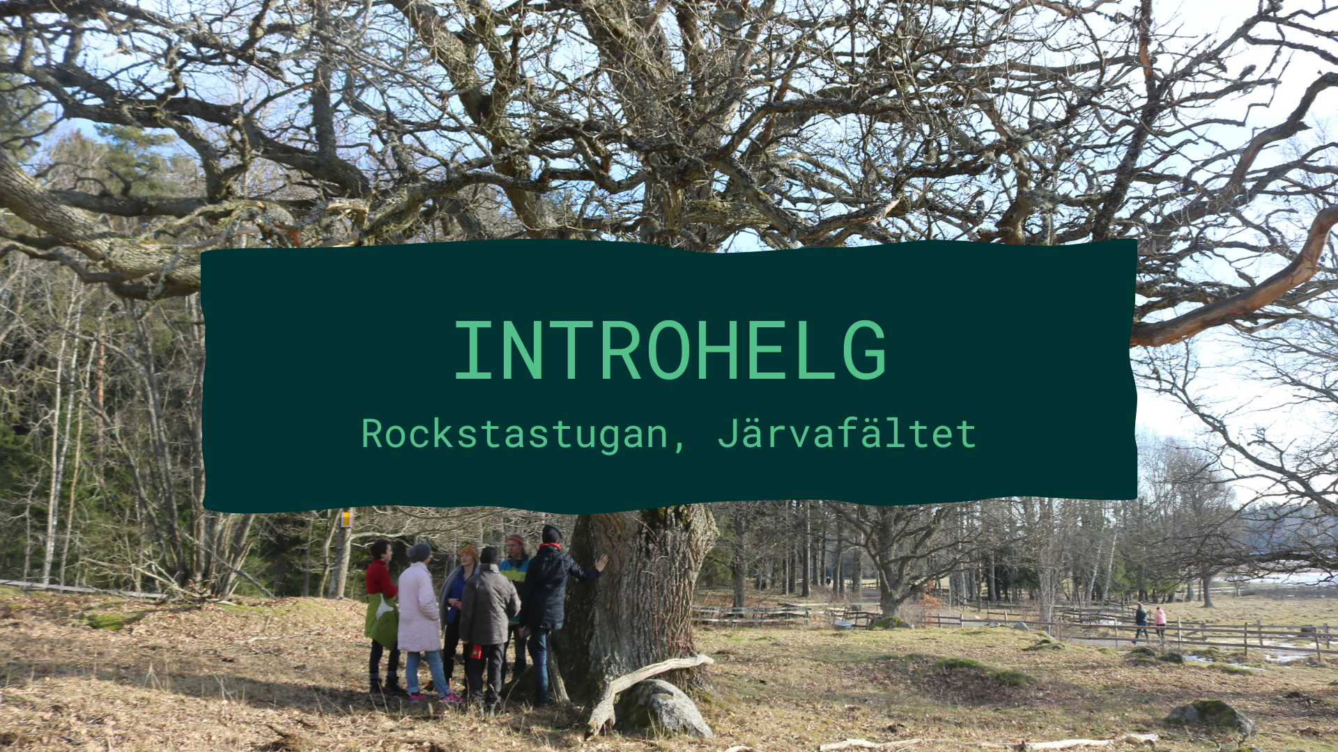En bild med texten "Introhelg"- I bakgrunden några personer som står under ett stort träd.