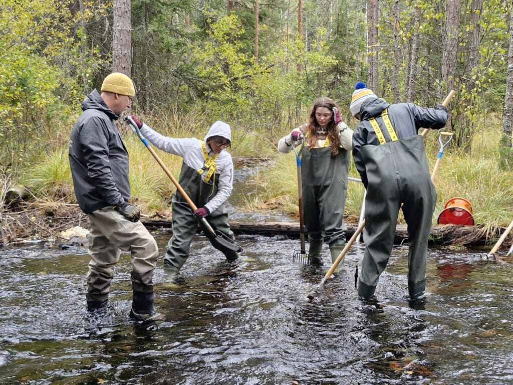 Fältbiologer restaurerarvattendrag vid Jönshytteån