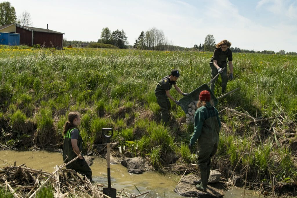 Fältbiologer restaurerar ett vattendrag i Enköping våren 2025