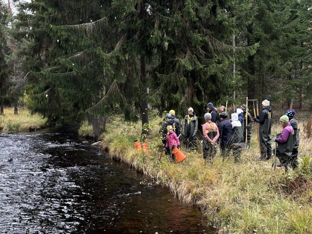Fältbiologer på resyarering vid ett vattendrag vid Lärplats Jönshytteån