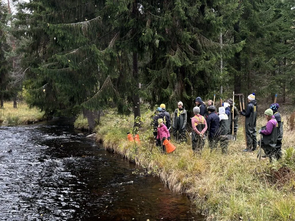 Fältbiologer på resyarering vid ett vattendrag vid Lärplats Jönshytteån
