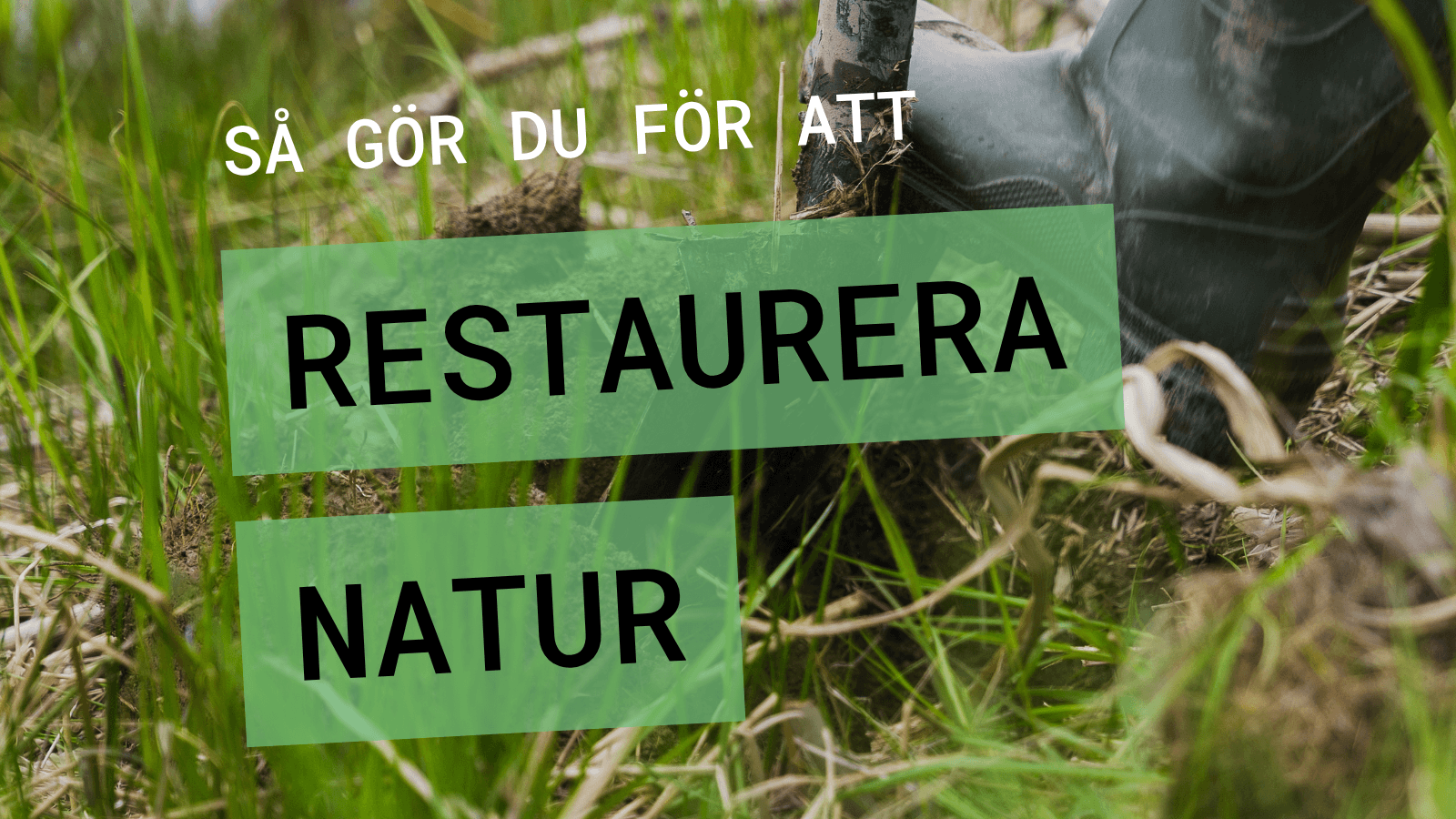 Framsida så gör du för att restaurera natur