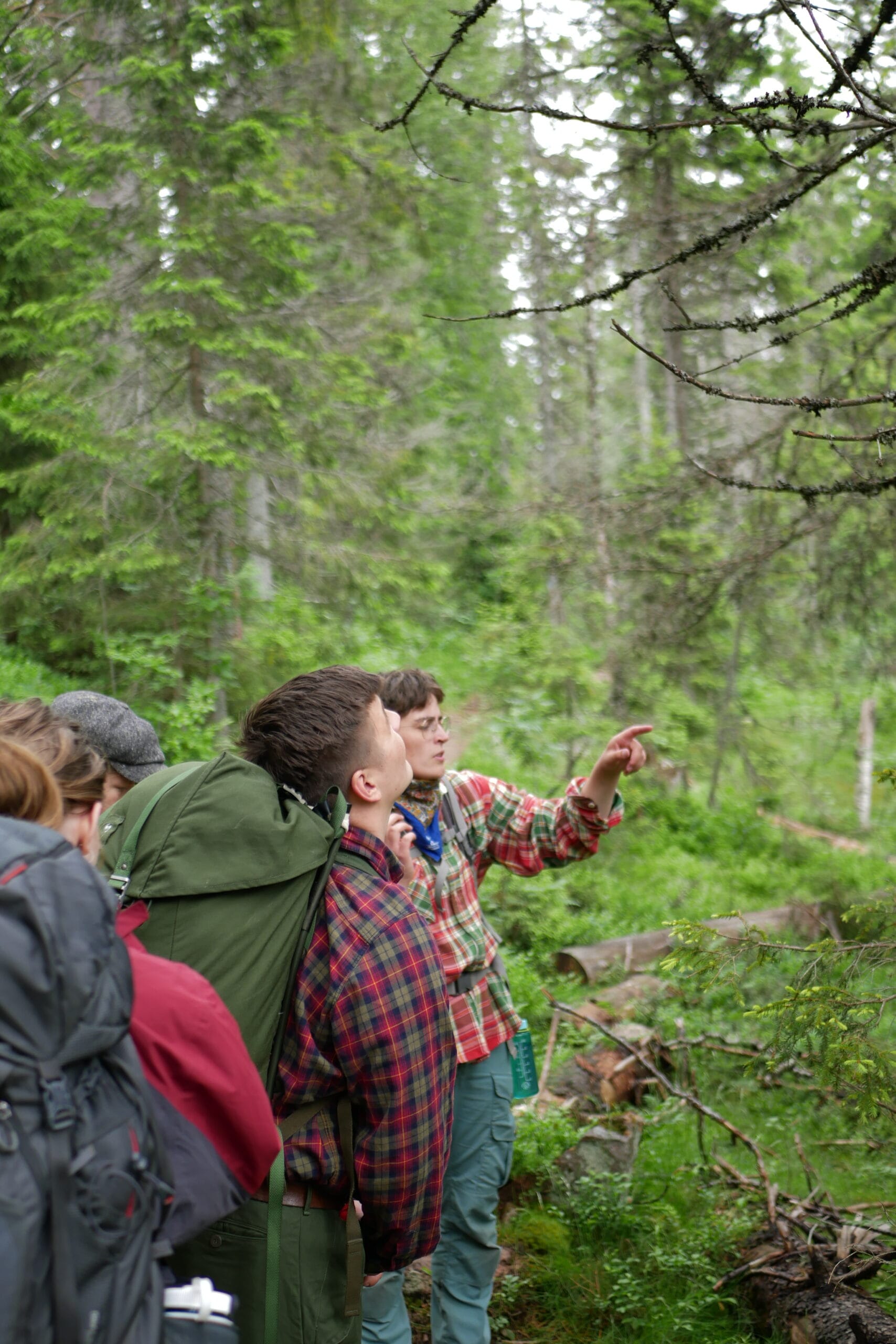 Fältbiologer i Skuleskogen