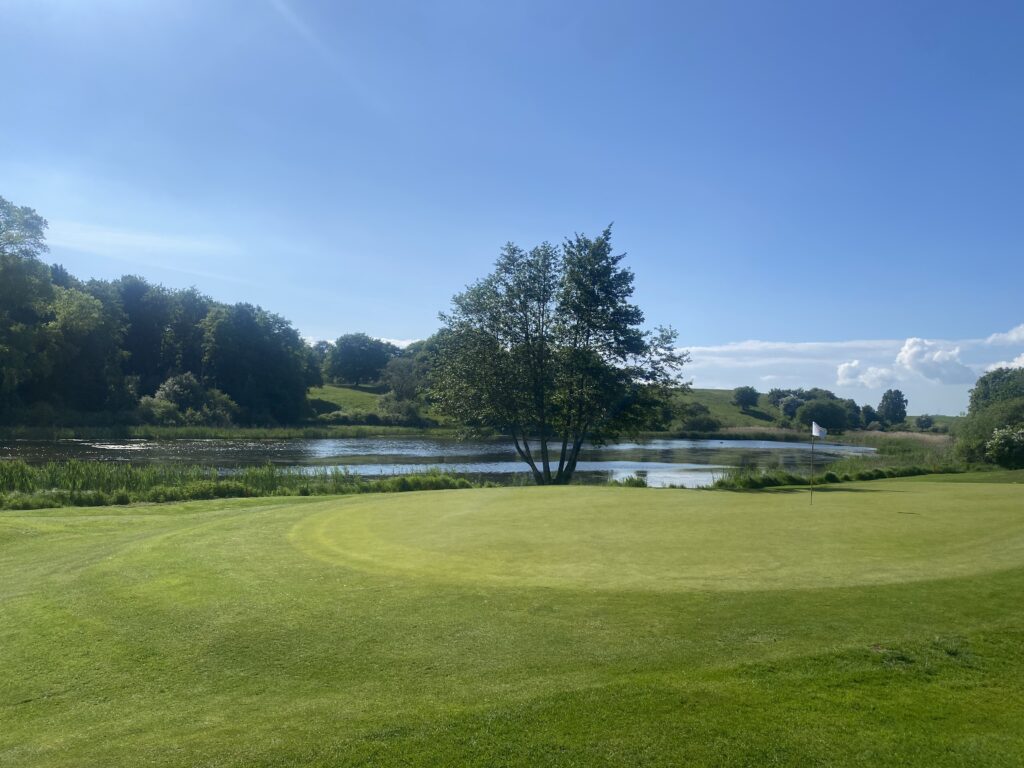 Golfbana med utsikt mot sjö