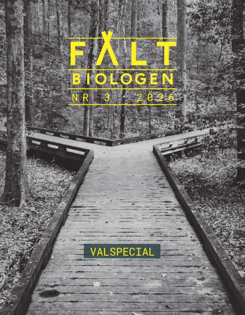 Svartvit bild på en spång där vägen delar sig
